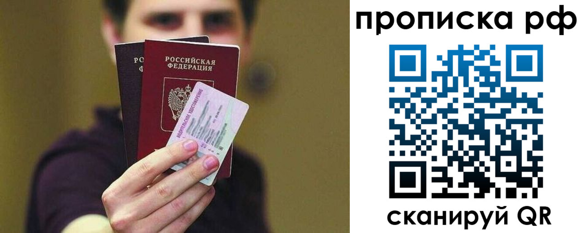 прописка поиск в Камышине